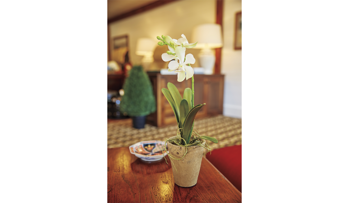 Visit our full-service oasis where beauty is always in bloom.